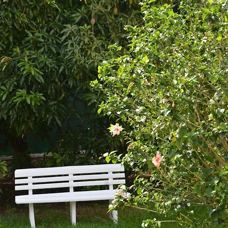 Residence Mon Refuge Grande Anse Εξωτερικό φωτογραφία