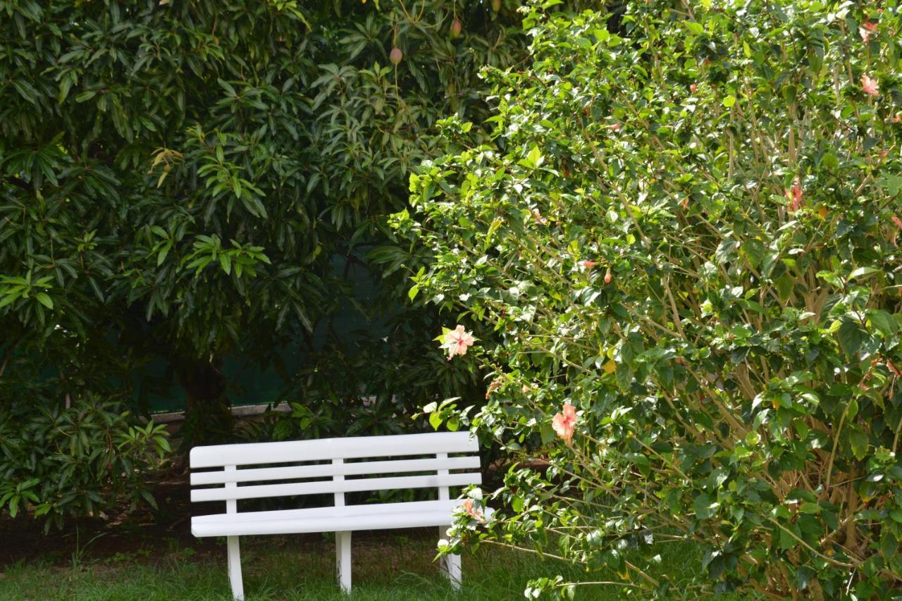 Residence Mon Refuge Grande Anse Εξωτερικό φωτογραφία