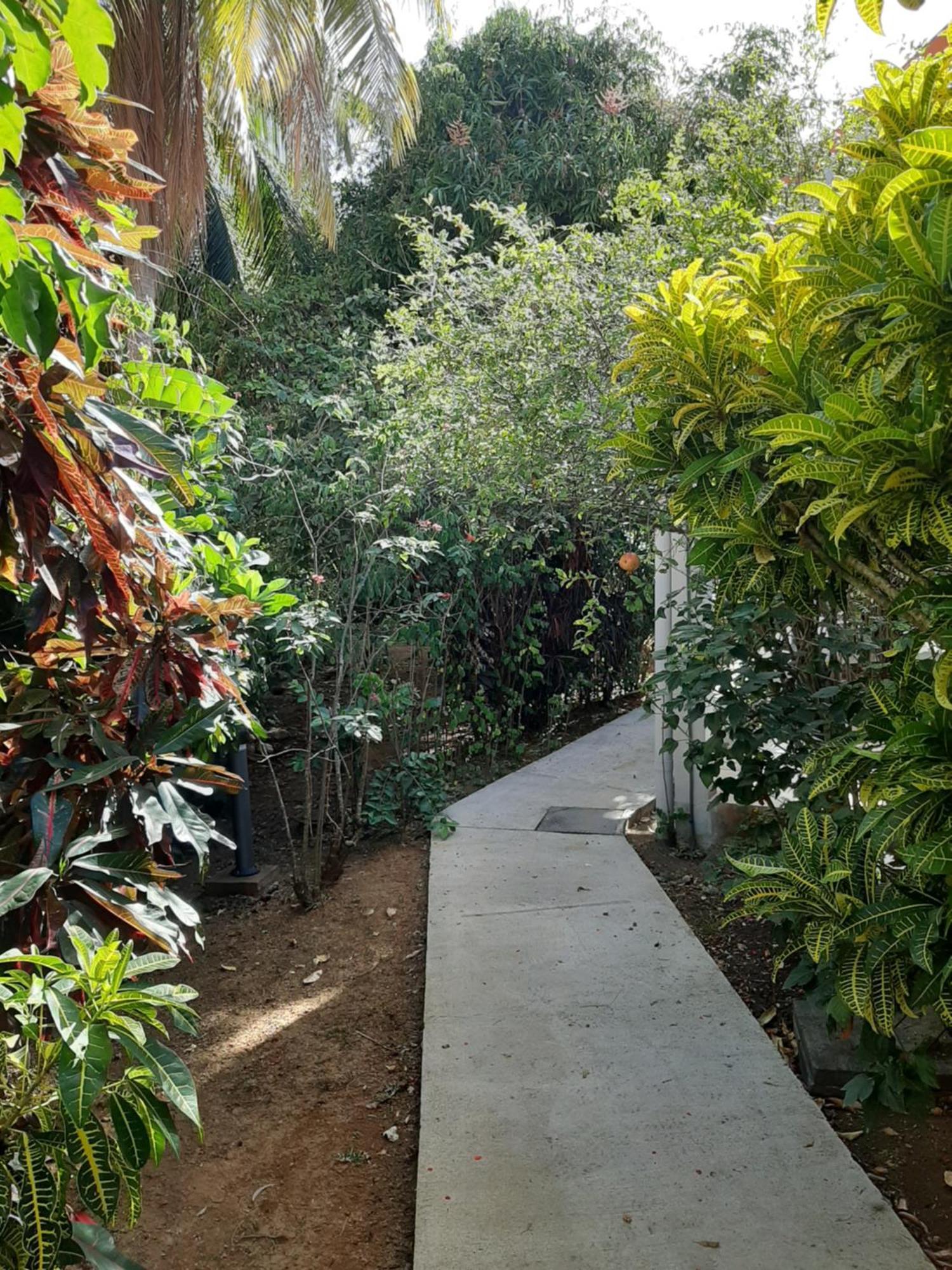 Residence Mon Refuge Grande Anse Εξωτερικό φωτογραφία